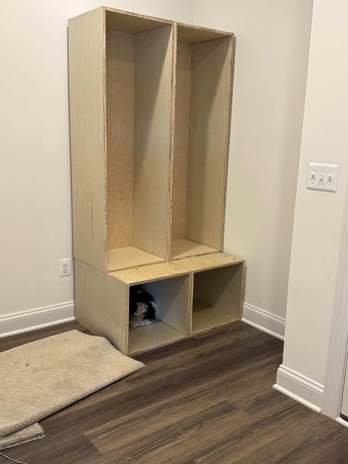 Lola, the family dog, settled into the bottom cubby of a half-built mudroom locker